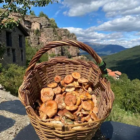 Cal Ferrer Del Querforadat